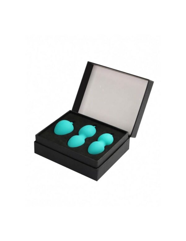 Nova Kegel Balls