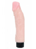 Envision The Mission Larger Realistic Vibrator